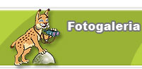 Fotogaleria