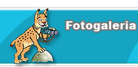 Fotogaleria