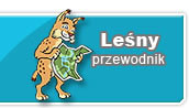 Le�ny Przewodnik